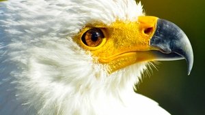 undefined Images